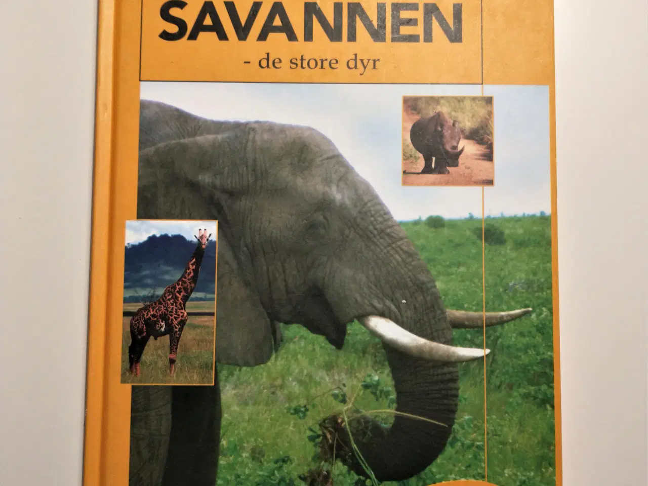 Billede 1 - Savannen - de store dyr. Af Birthe Kot