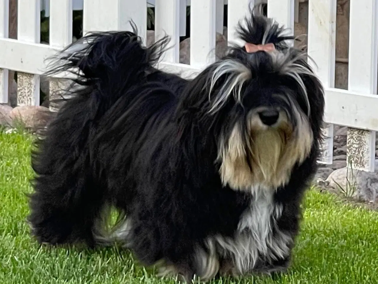 Billede 6 - 💕Skal sødeste Ditte være din 💕