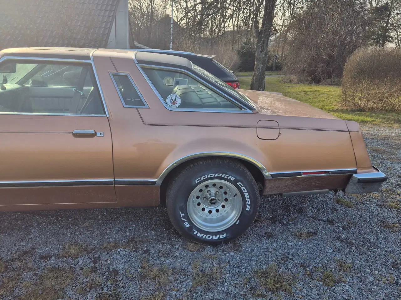 Billede 5 - Rigtig fin Ford Tunderbird 