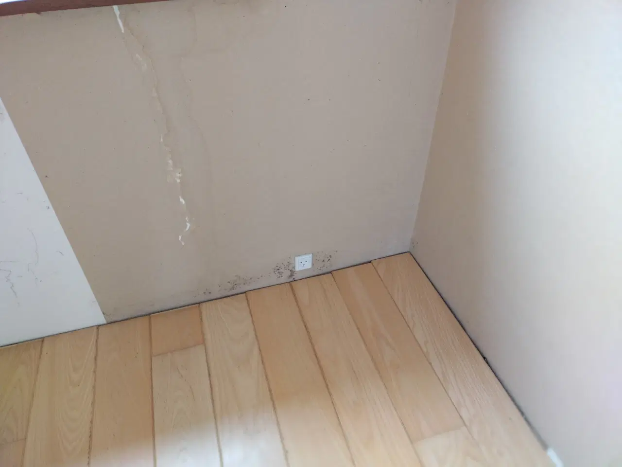 Billede 11 - Beboelsesvogne / Tiny house / Anneks – ca. 40–45 m