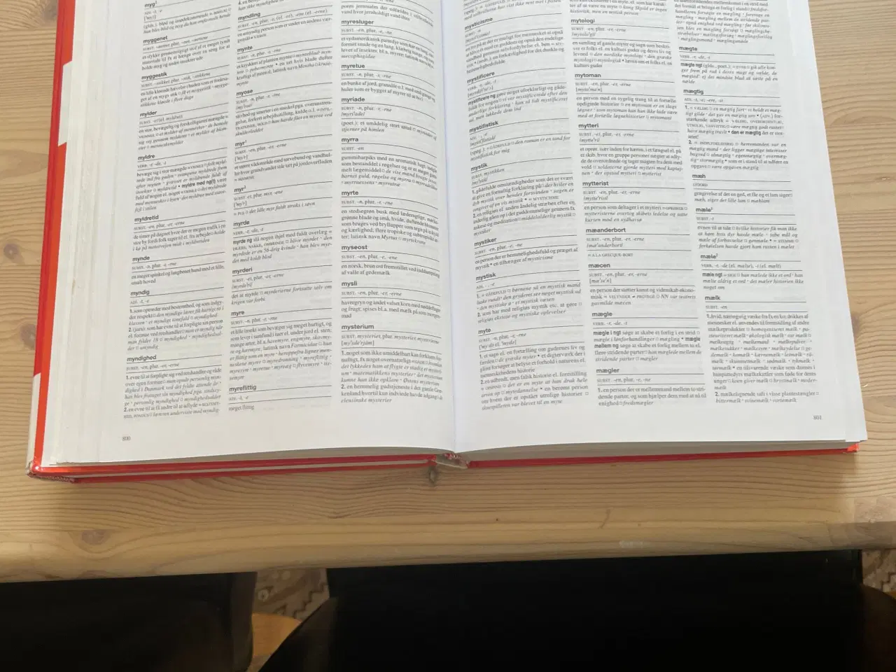 Billede 2 - Dansk ordbøger