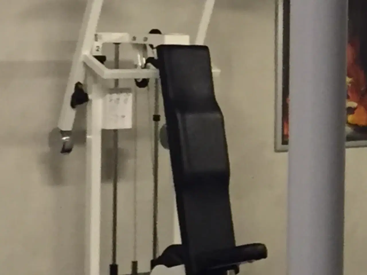 Billede 1 - TECHNOGYM Ryg maskine