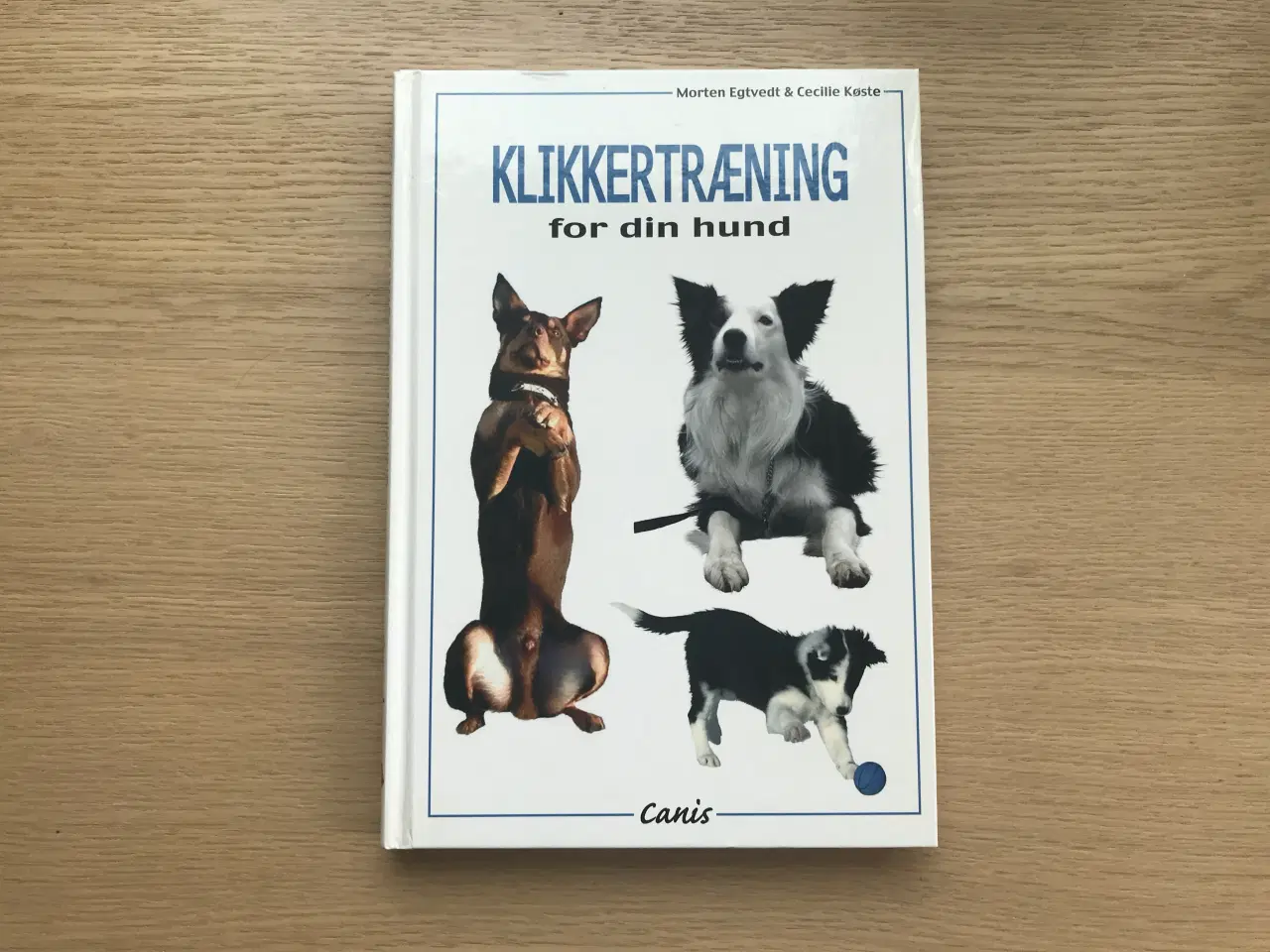 Billede 1 - Klikkertræning for din hund