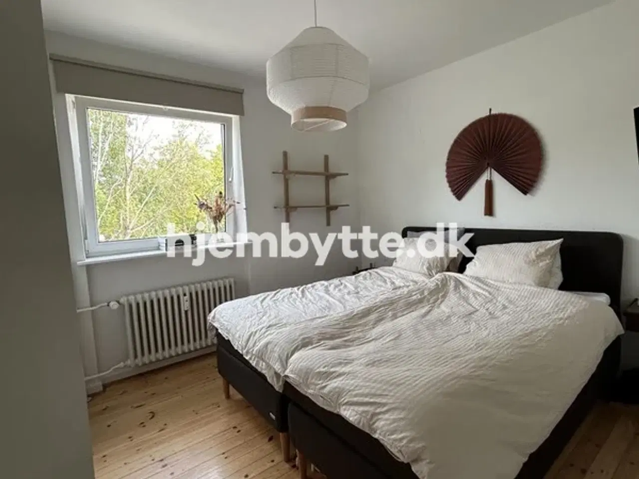 Billede 5 - Hjembytte - Banevænget