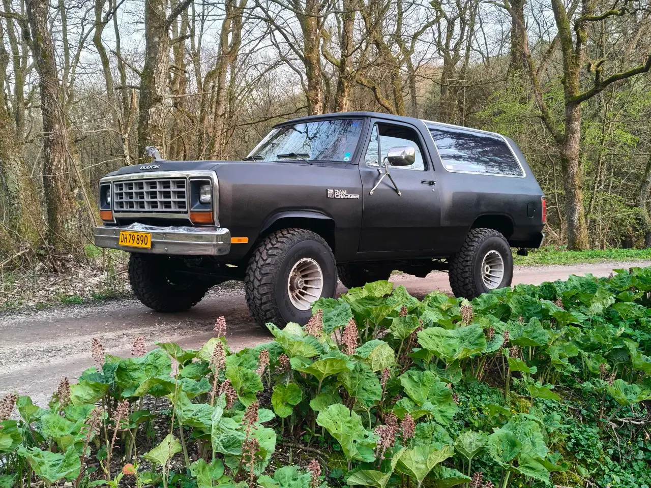 Billede 6 - Dodge Ramcharger 