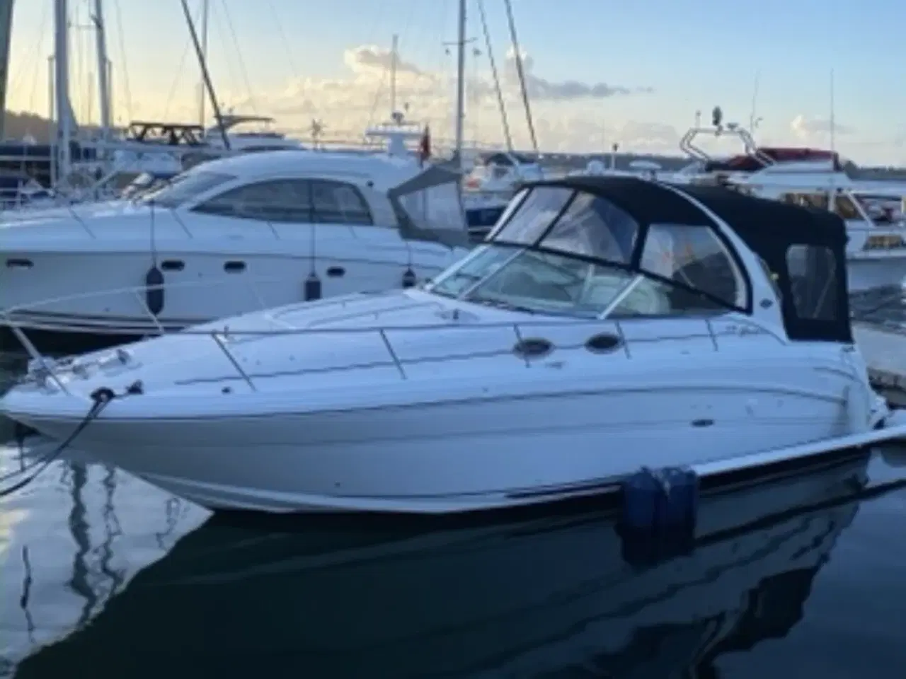 Billede 1 - Sea Ray Sundancer 335 