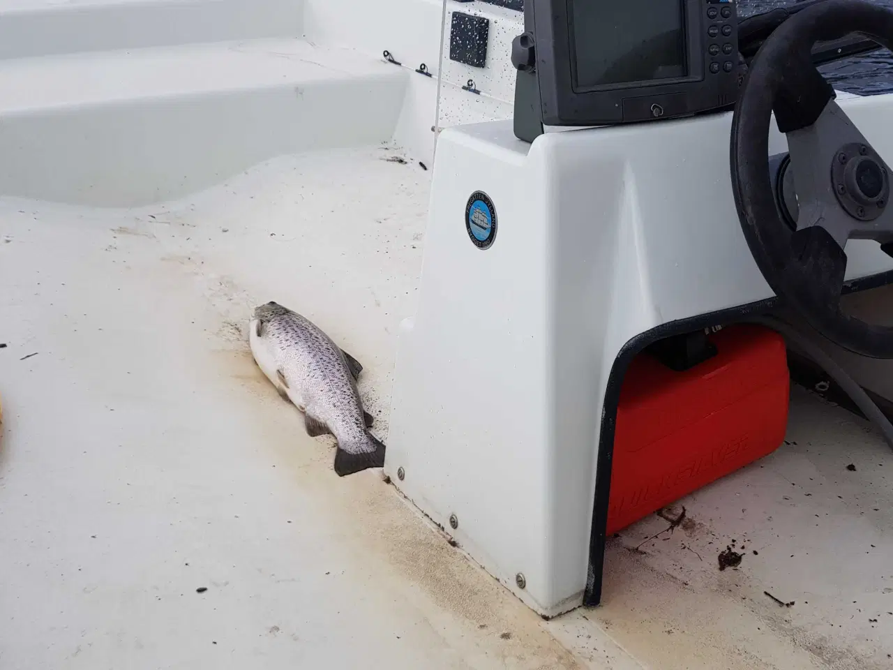 Billede 8 - Dory Dell Quay trollingbåd m. styrepult