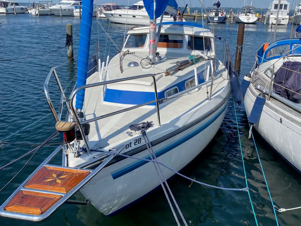 Billede 3 - Flot og velholdt Mascot 28