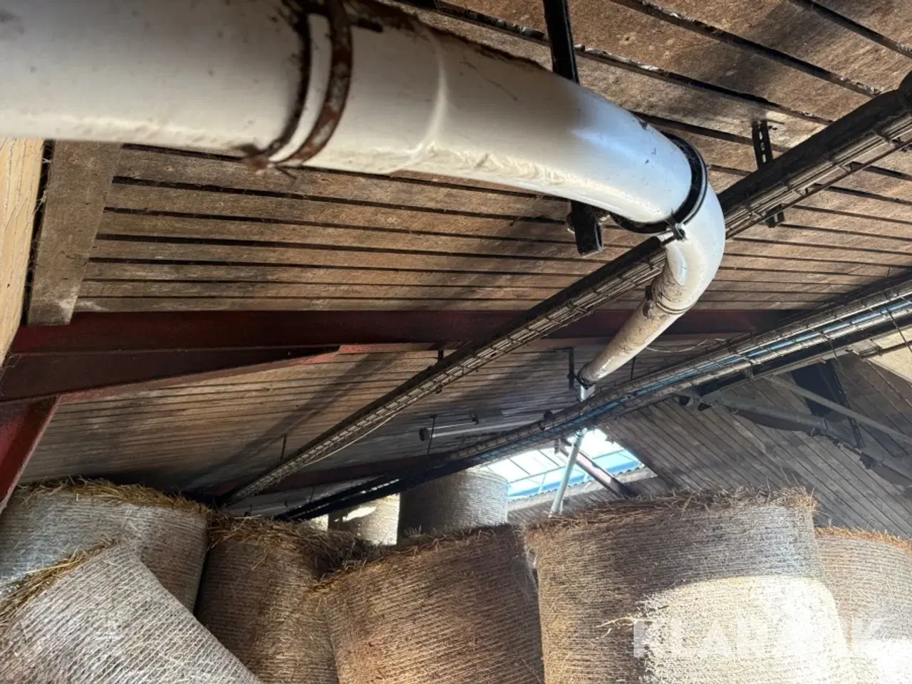 Billede 2 - Fodersnegl