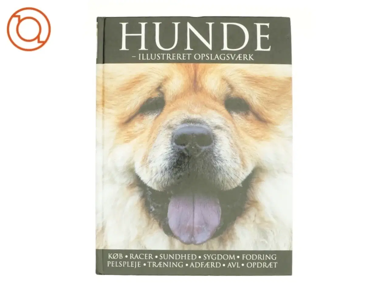 Billede 1 - Hunde - illustreret opslagsværk (Bog)