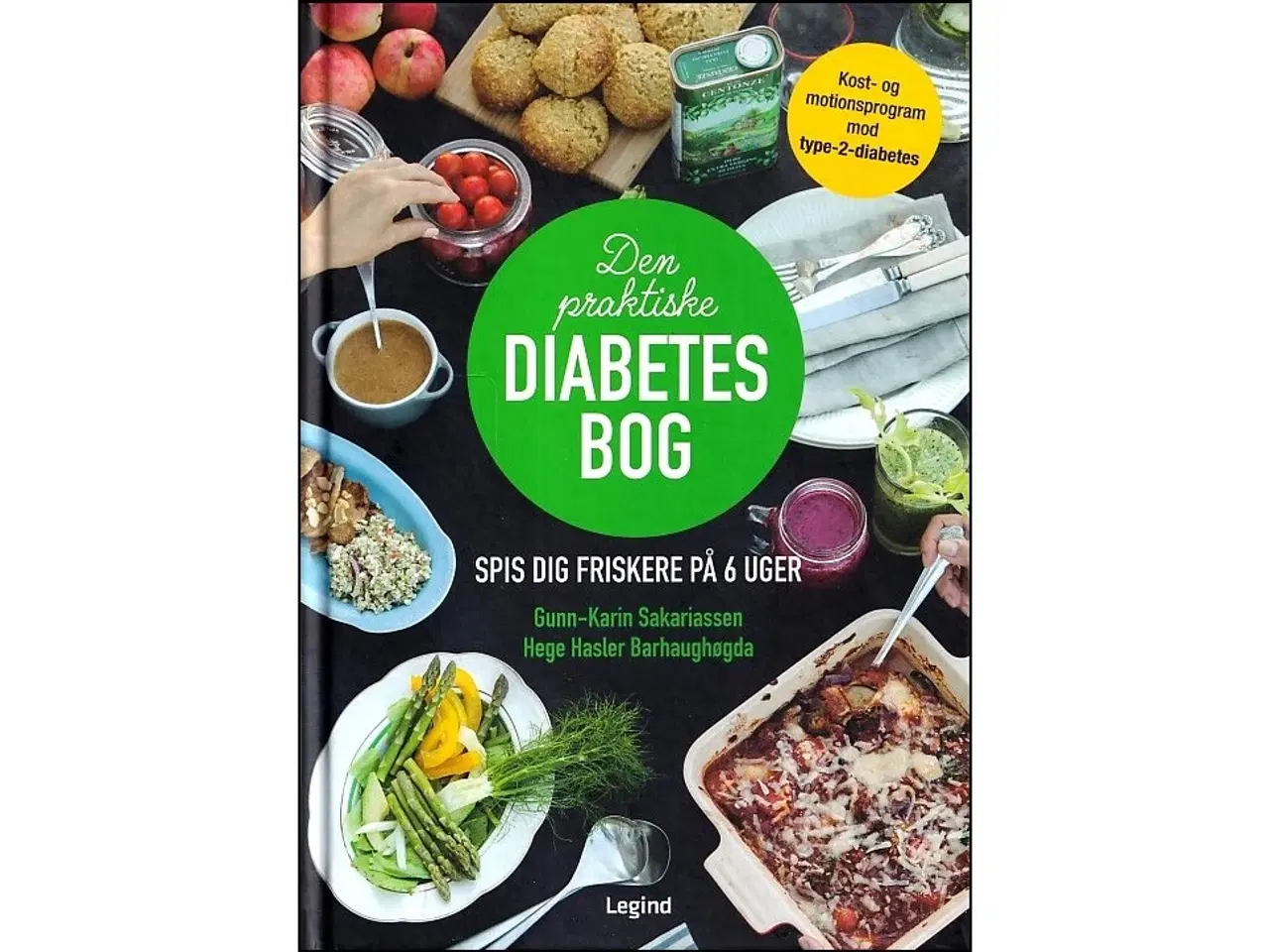 Billede 1 - Den praktiske Diabetesbog