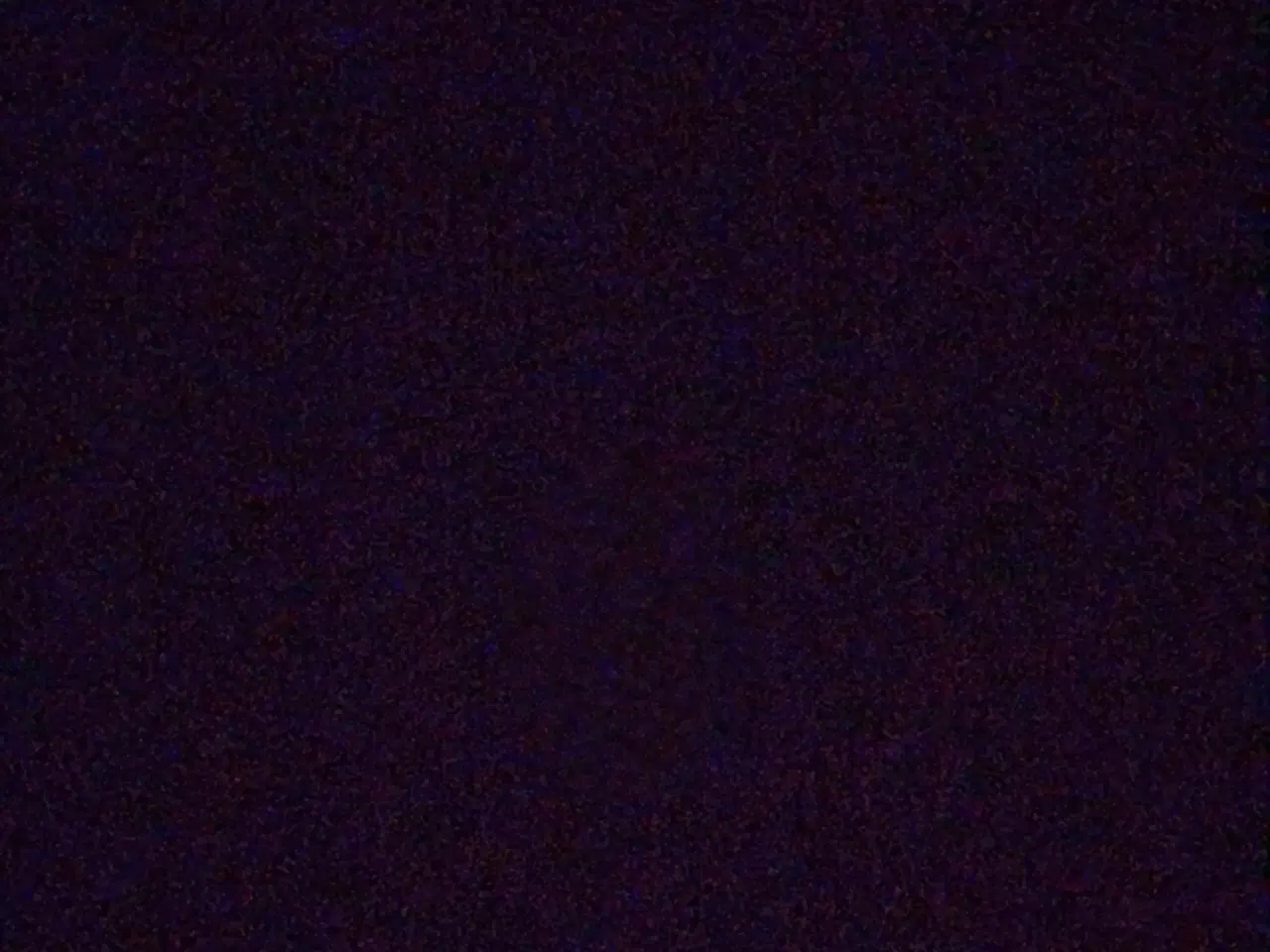 Billede 1 - Bøgeplanter 