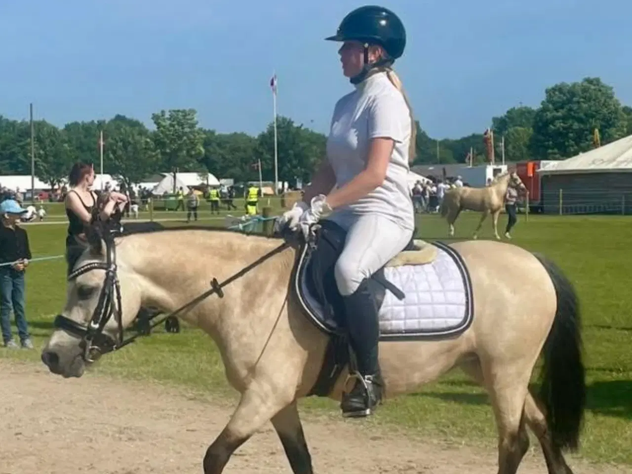 Billede 6 - Sødeste 3 pony