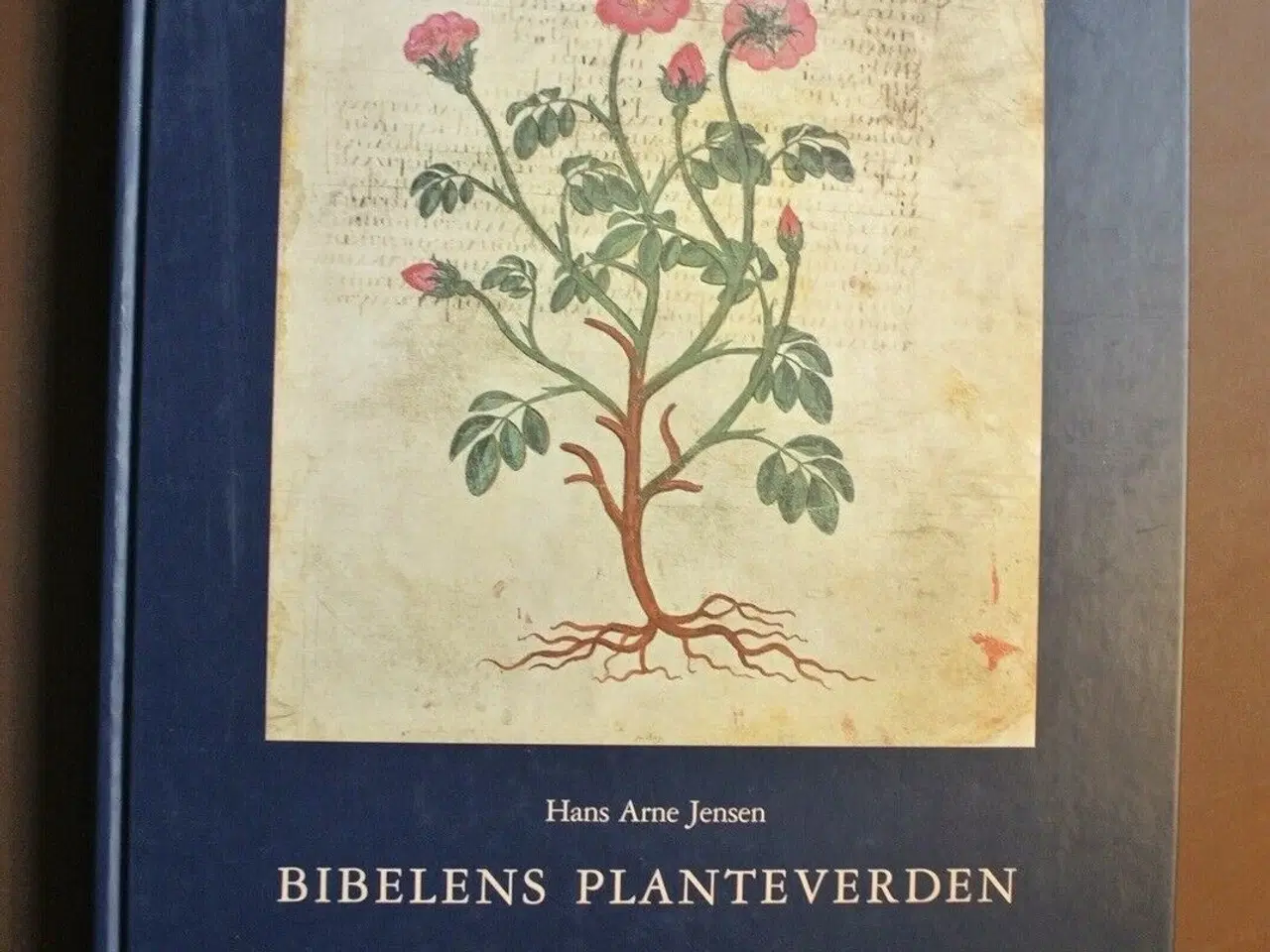 Billede 1 - bibelens planteverden, af hans arne jensen