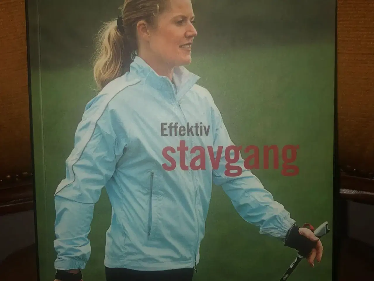 Billede 5 - Stave til stavgang