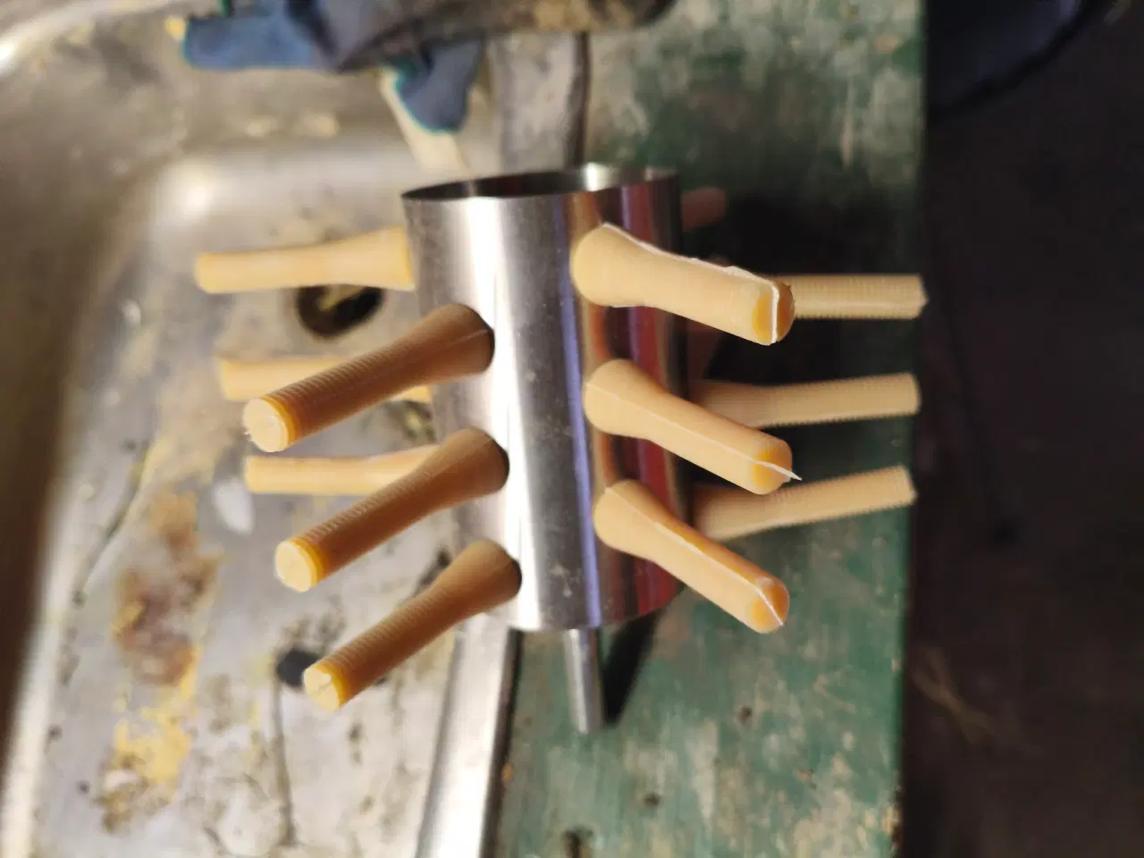 Billede 5 - Moskusænder med alt tilbehør 