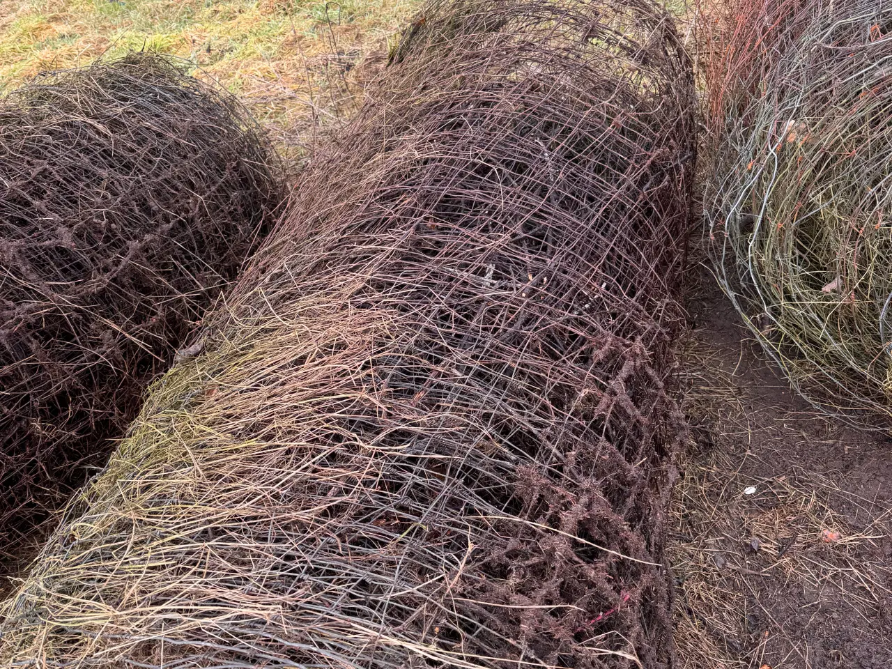 Billede 2 - Vildthegn/trådhegn eller skrot?