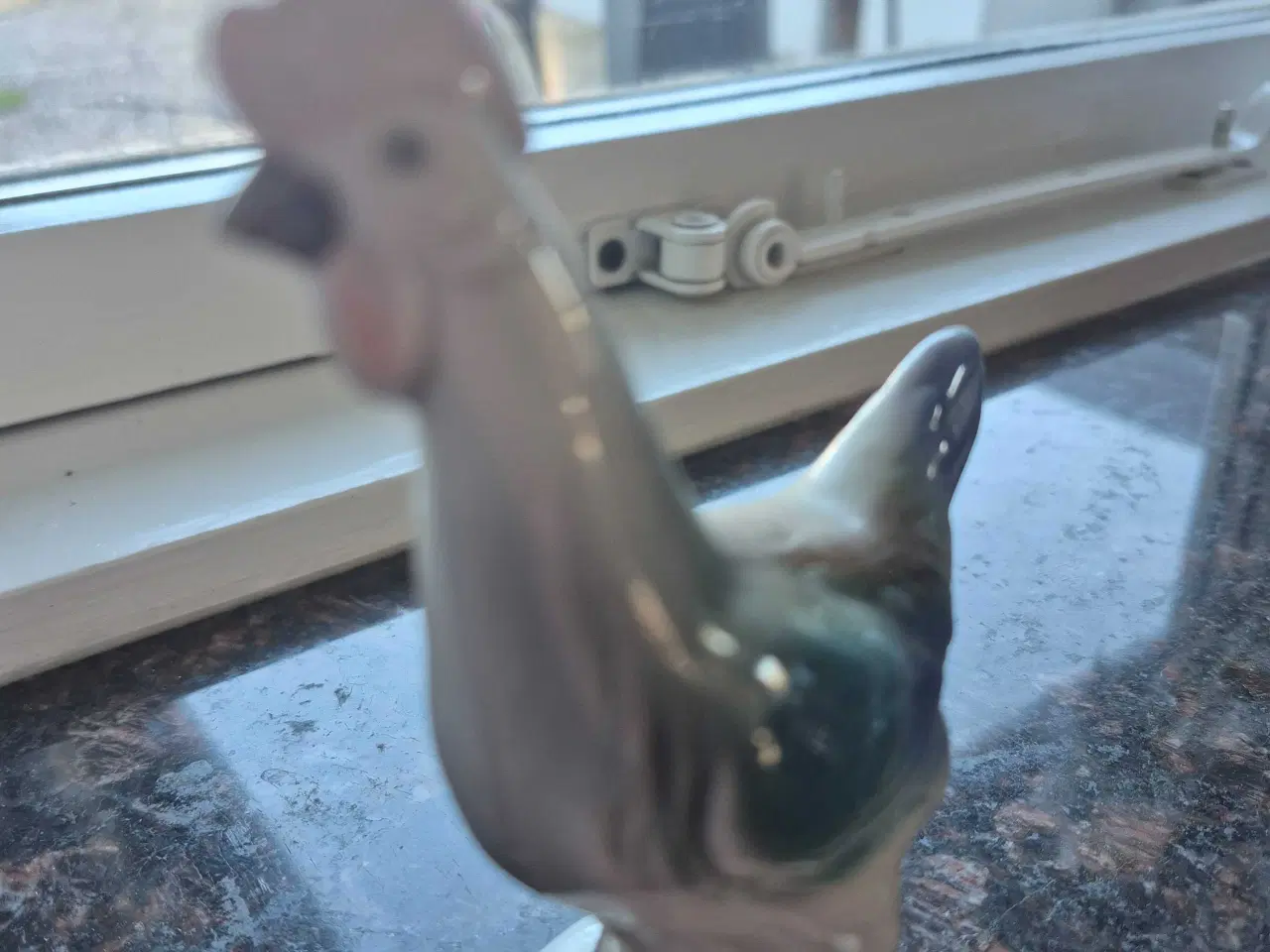 Billede 7 - Tysk foreing hane