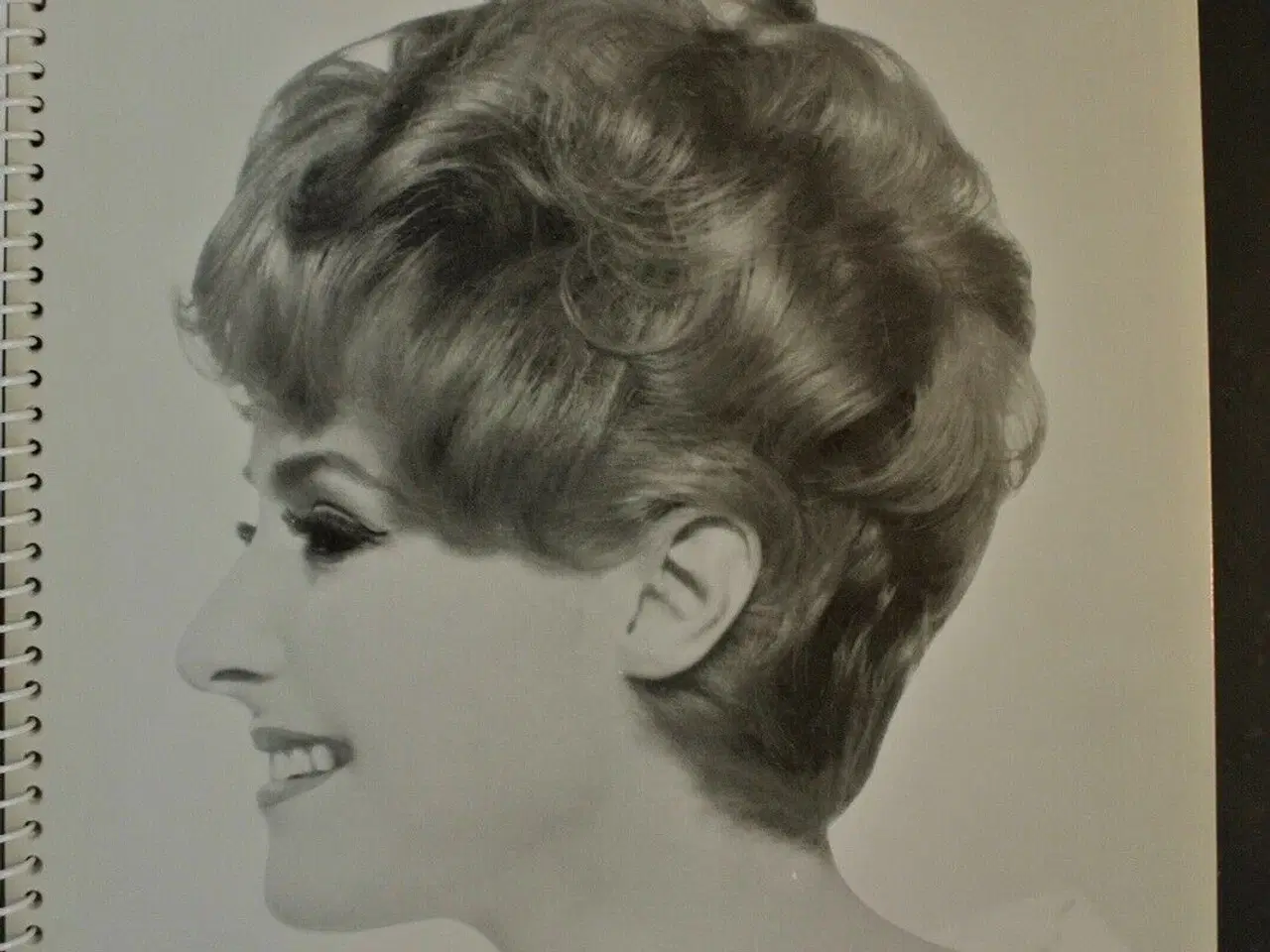 Billede 3 - le journal de la coiffure nr. 1 - 1965. frisurer -