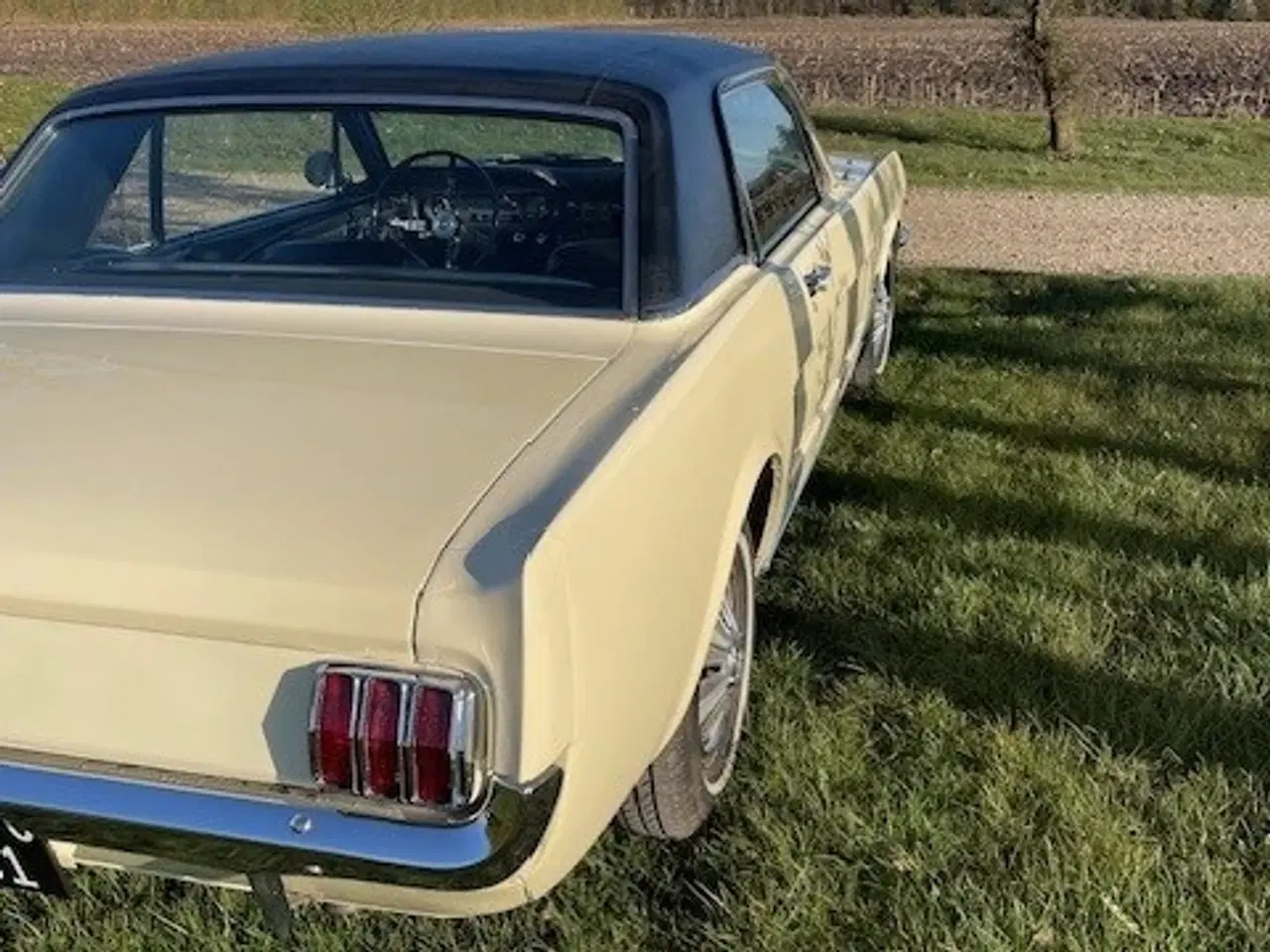 Billede 6 - Ford Mustang 1965