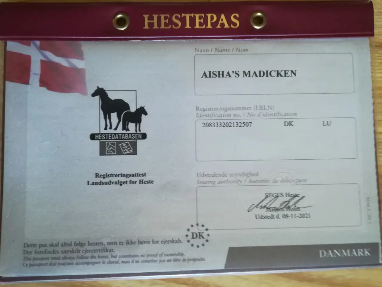 Billede 4 - 4 års Knabstrupper pony 