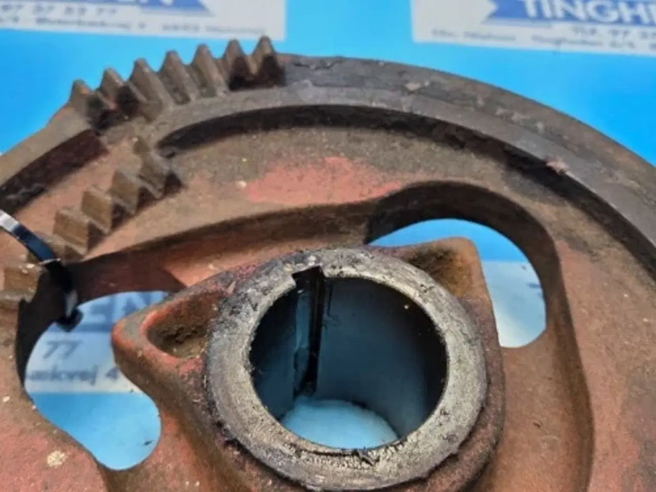 Billede 4 - Hesston 4700 Kamskive 700100868