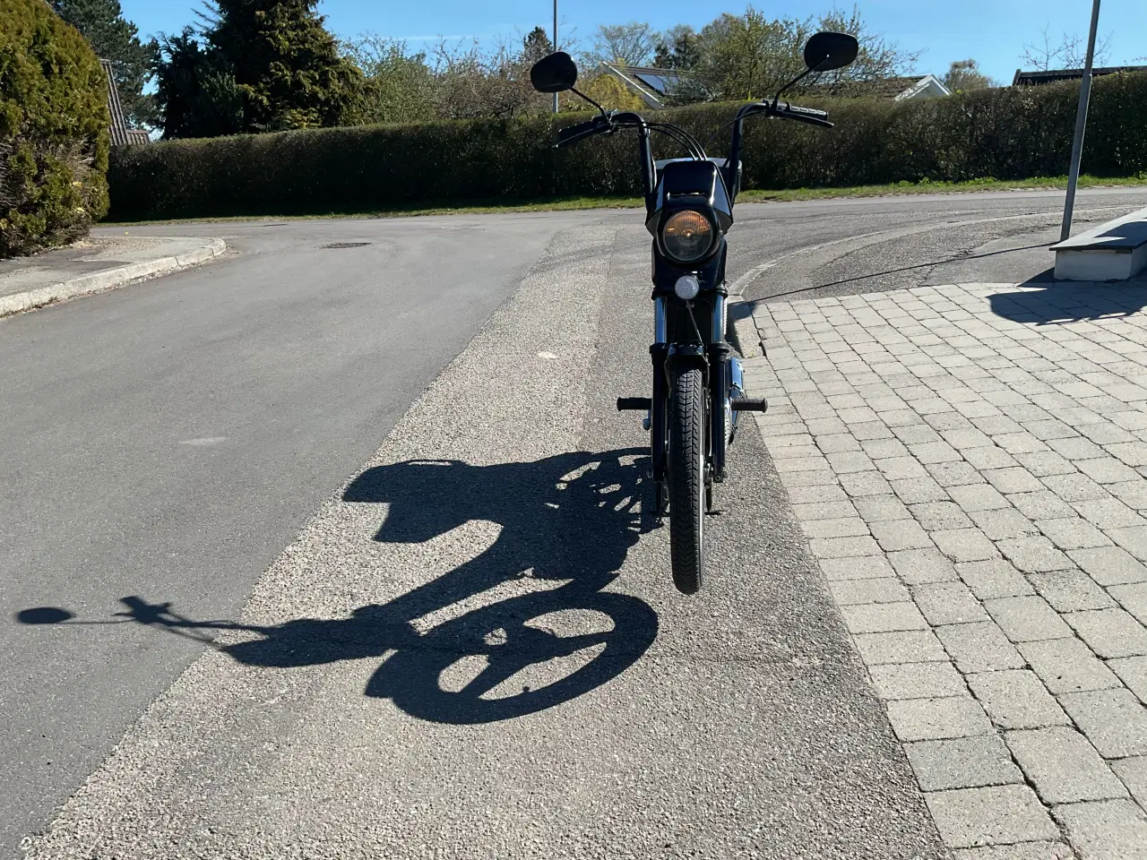 Billede 3 - Puch maxi Korado