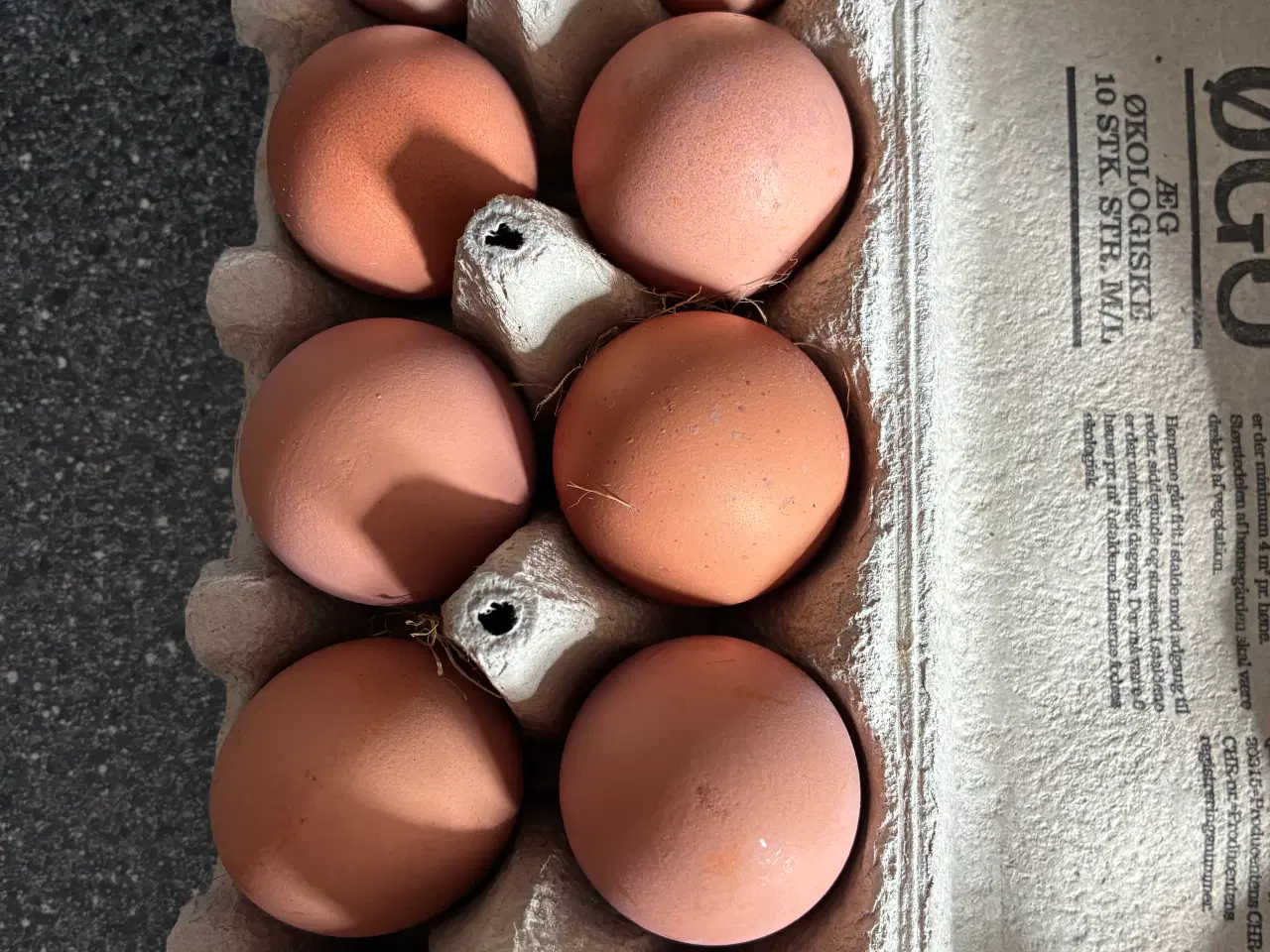 Billede 1 - Rugeæg fra blandet flok