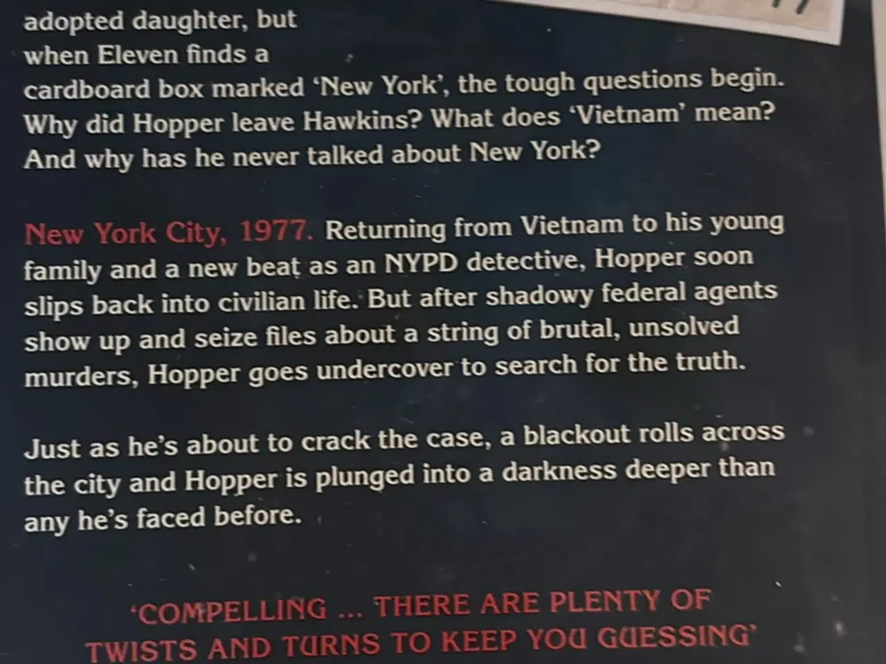 Billede 3 - Stranger things bog