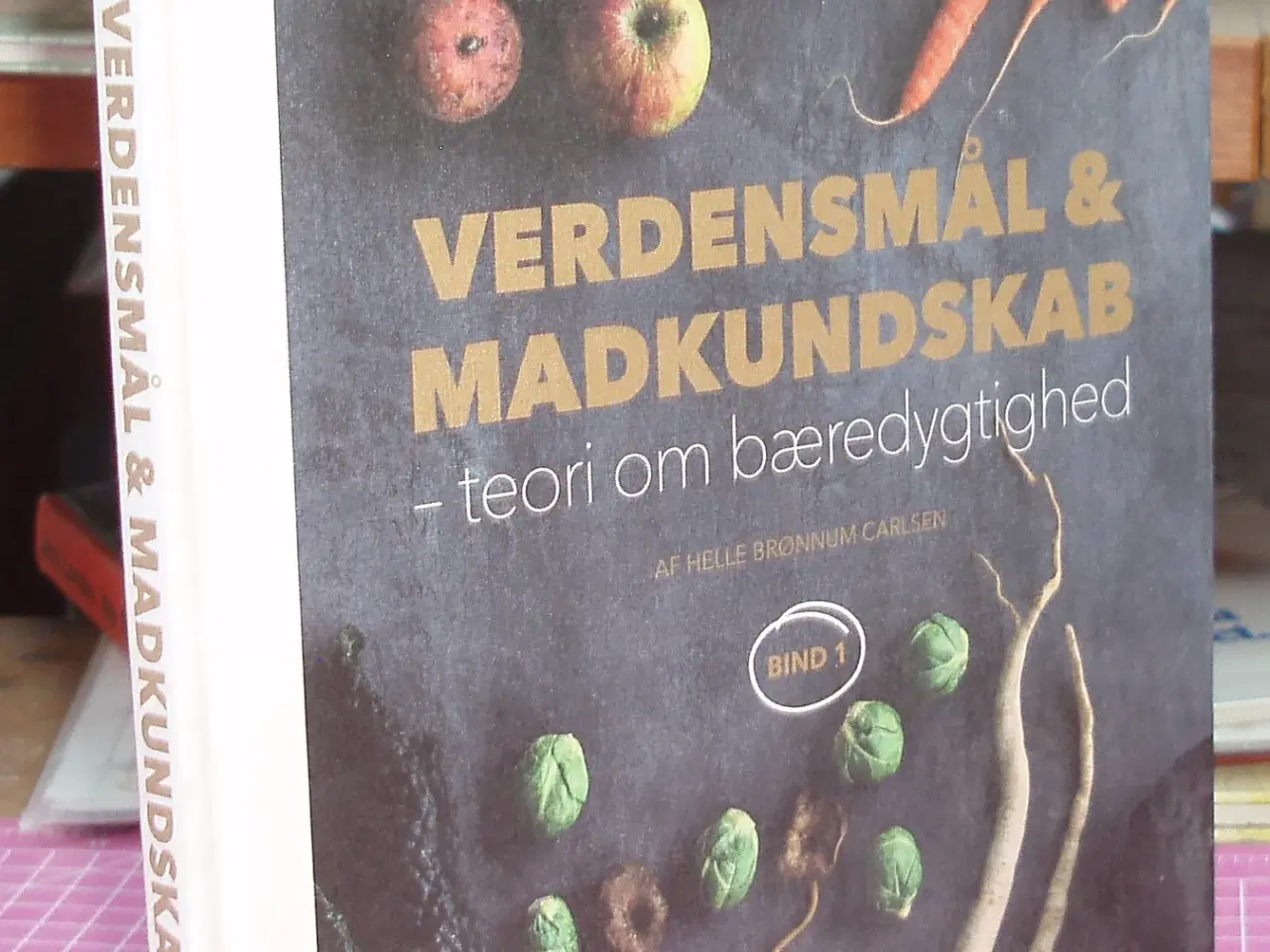 Billede 1 - Verdensmål & Madkundskab -teori om bæredygtighed