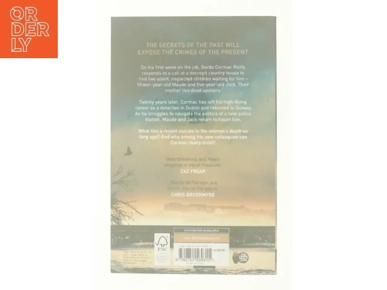 Billede 2 - The Ruin af Dervla McTiernan (Bog)
