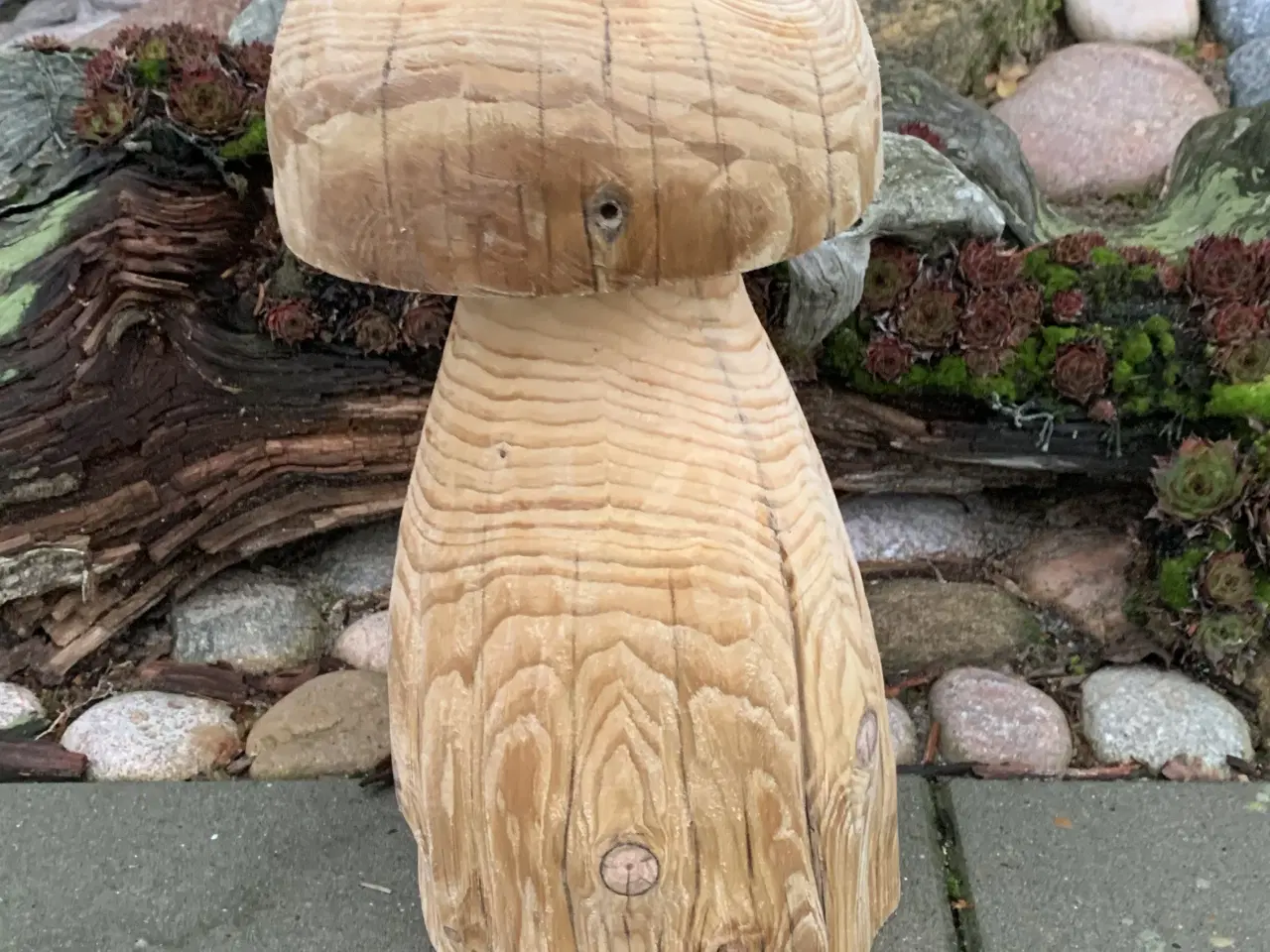 Billede 1 - PADDEHAT / TRÆSVAMP - Ny pris