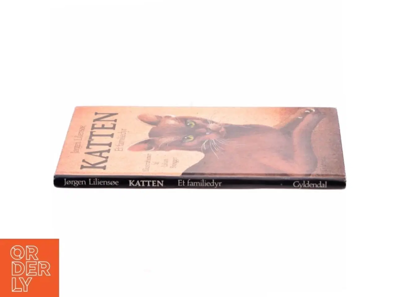 Billede 2 - Katten. et familiedyr af Jørgen Liliensøe