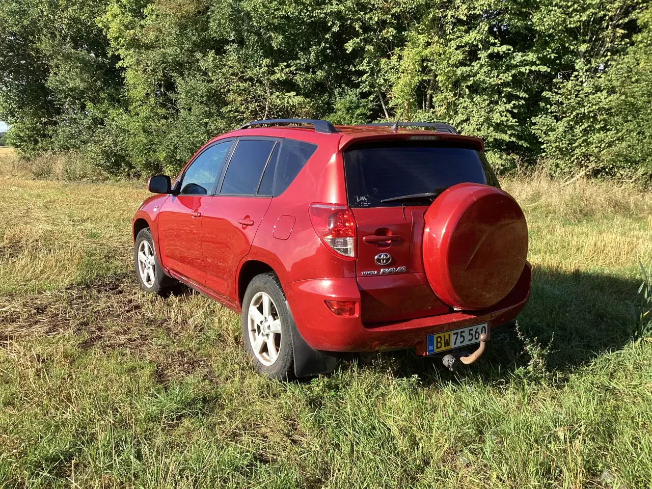 Billede 2 - Toyota Raw 4