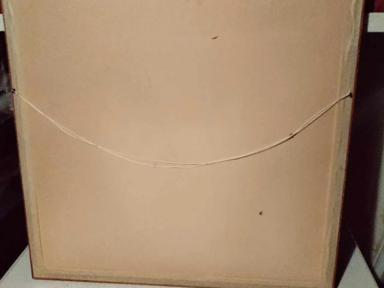 Billede 6 - super fedt billede af bjørn wiinblad