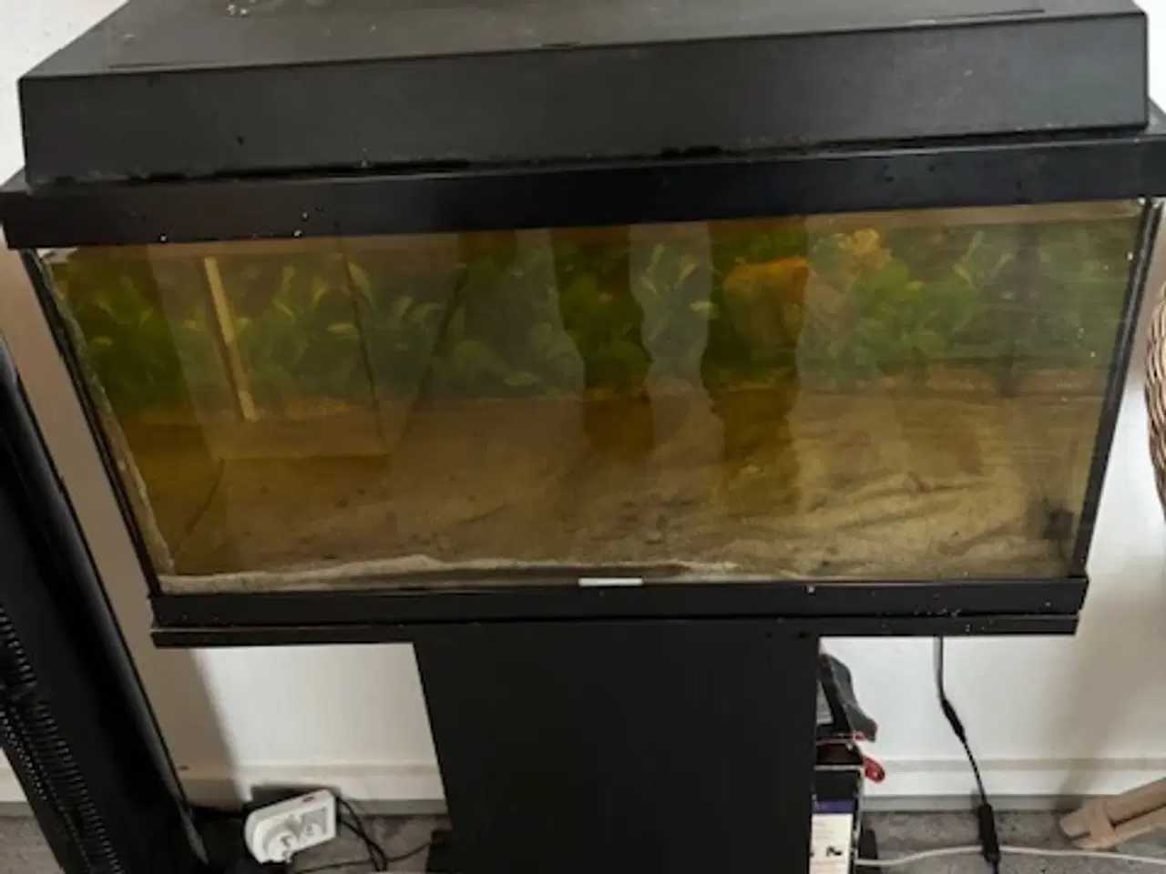 Billede 1 - Juwel akvarie 54 ltr