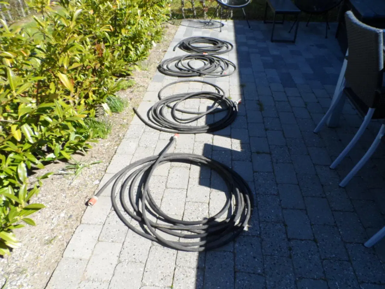 Billede 1 - SIVESLANGER