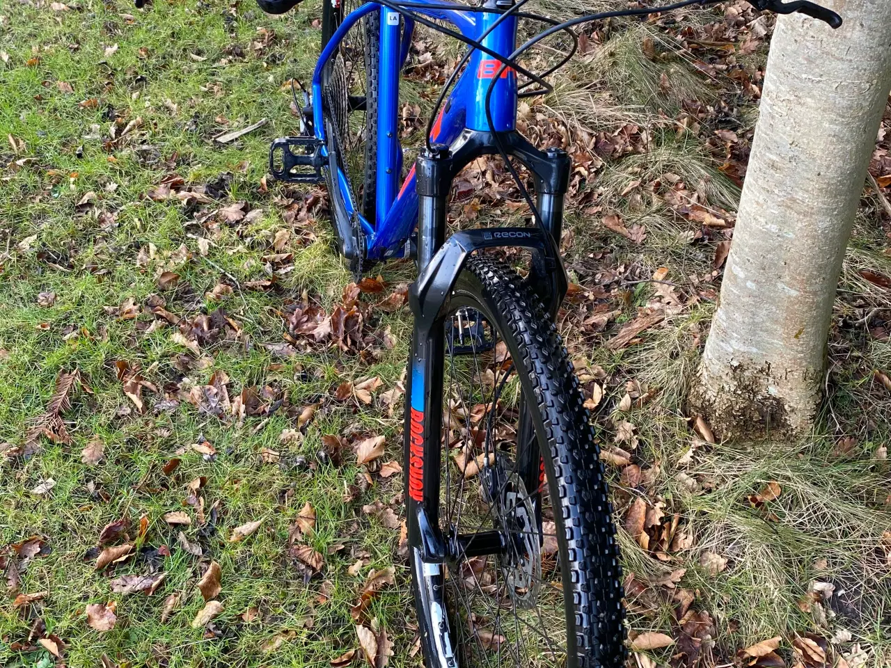 Billede 6 - BH Expert 5.0 MTB