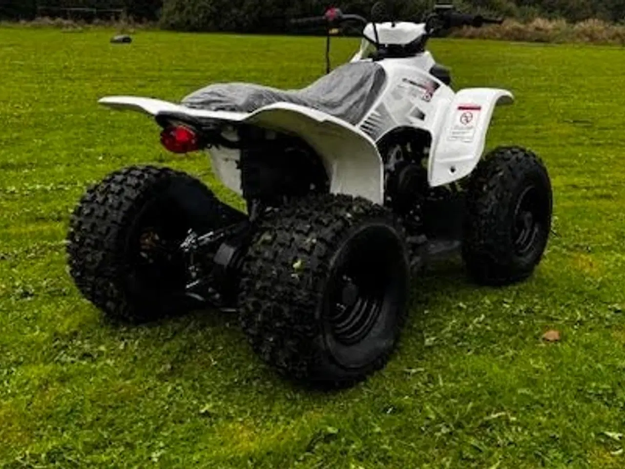 Billede 4 - Smc 100cc Sport uden baggear 