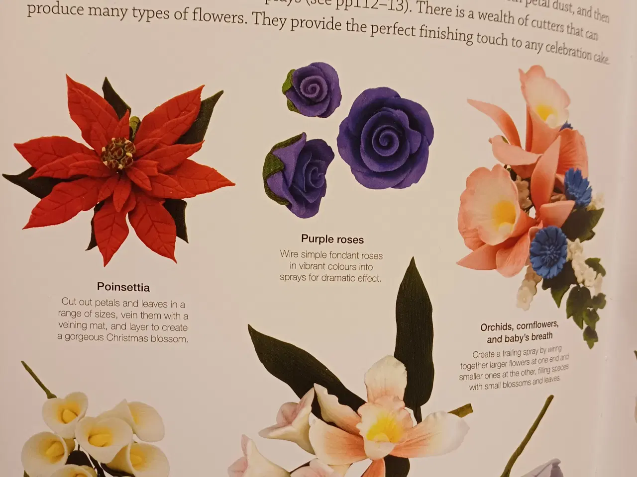 Billede 2 - Step by Step Cake Decorating