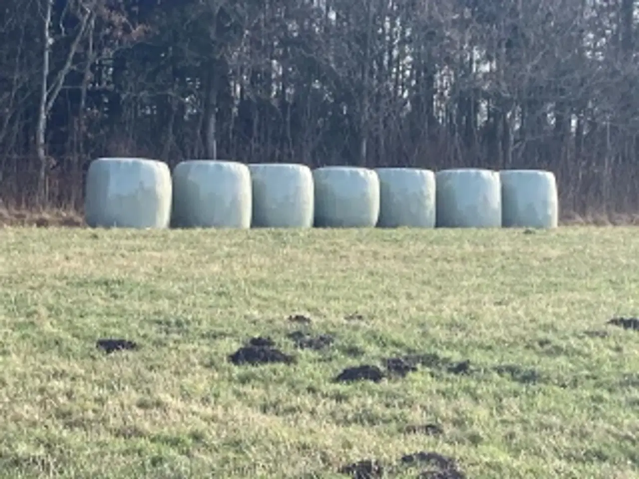 Billede 1 - Wrap Hø fra 25