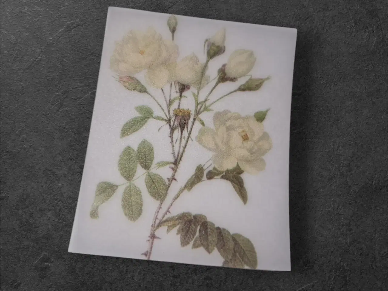 Billede 1 - Botanisk mini-tryk: White Rose Reverie