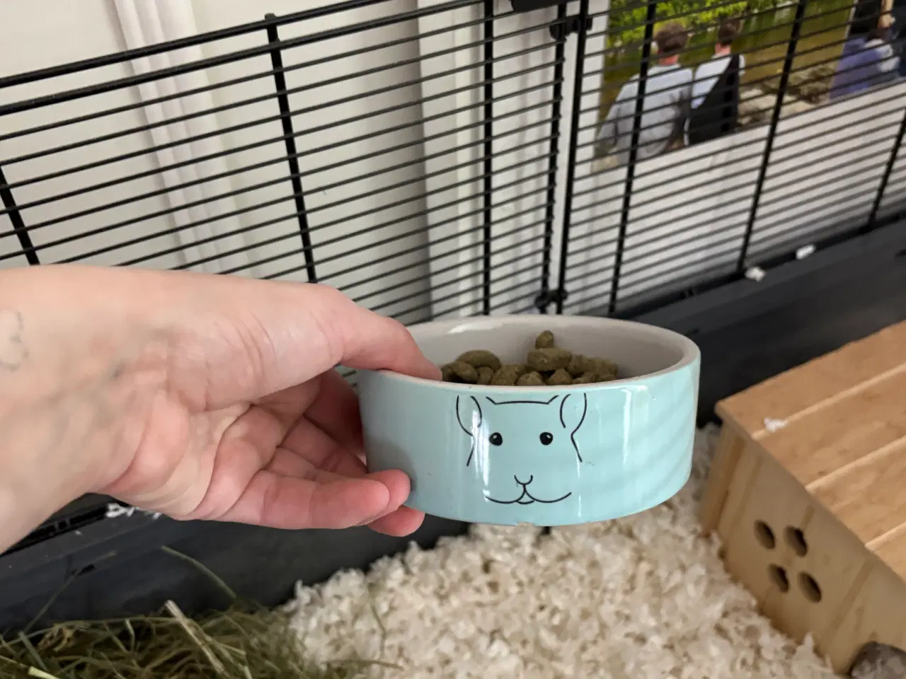 Billede 8 - To Han marsvin og tilbehør 