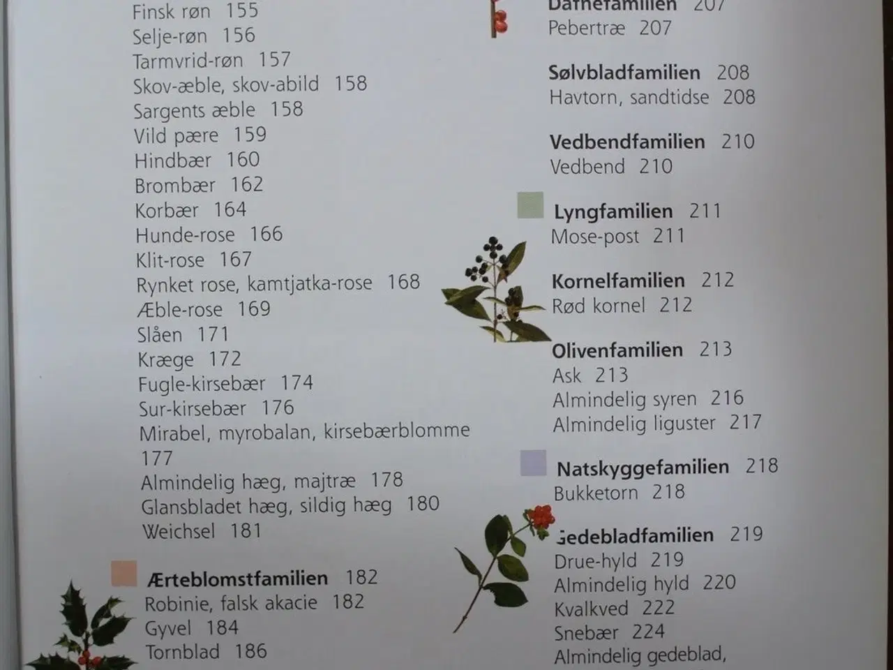 Billede 3 - træer og buske i landskabet, af helge vedel og jet