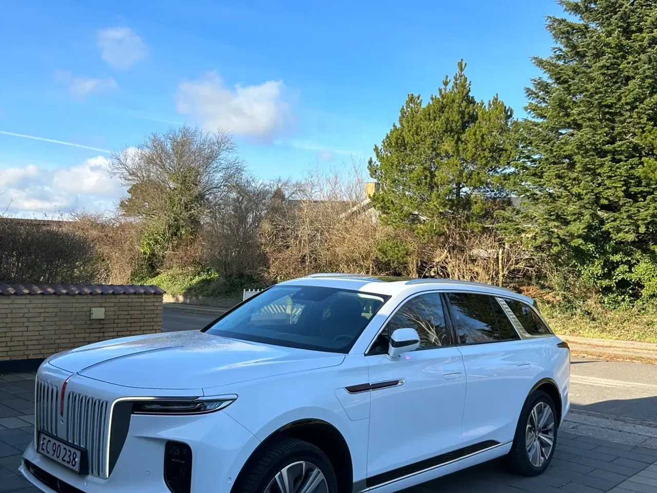 Billede 1 - Hongqi E-HS9 99 Premium