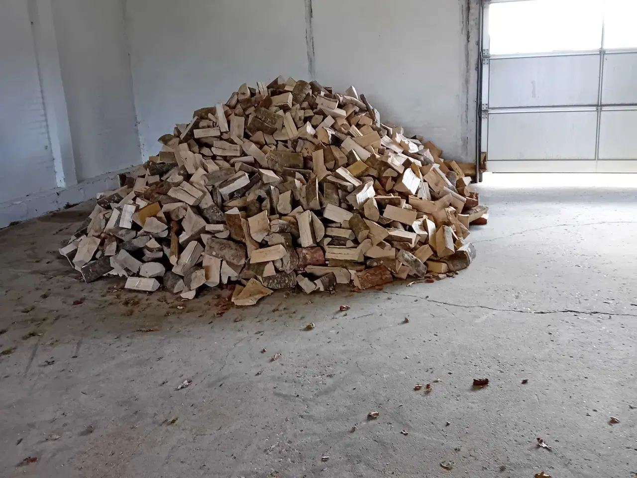 Billede 1 - Asketræ