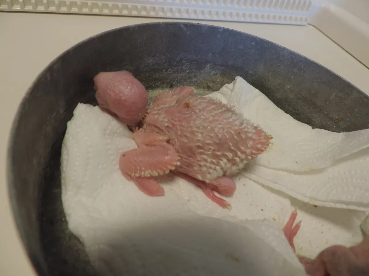 Billede 1 - Conurer til håndopmadning.