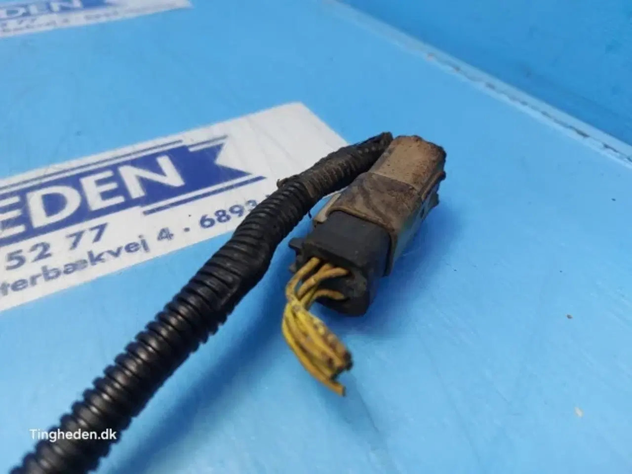 Billede 4 - JCB 531-70 Føler 716/E2286