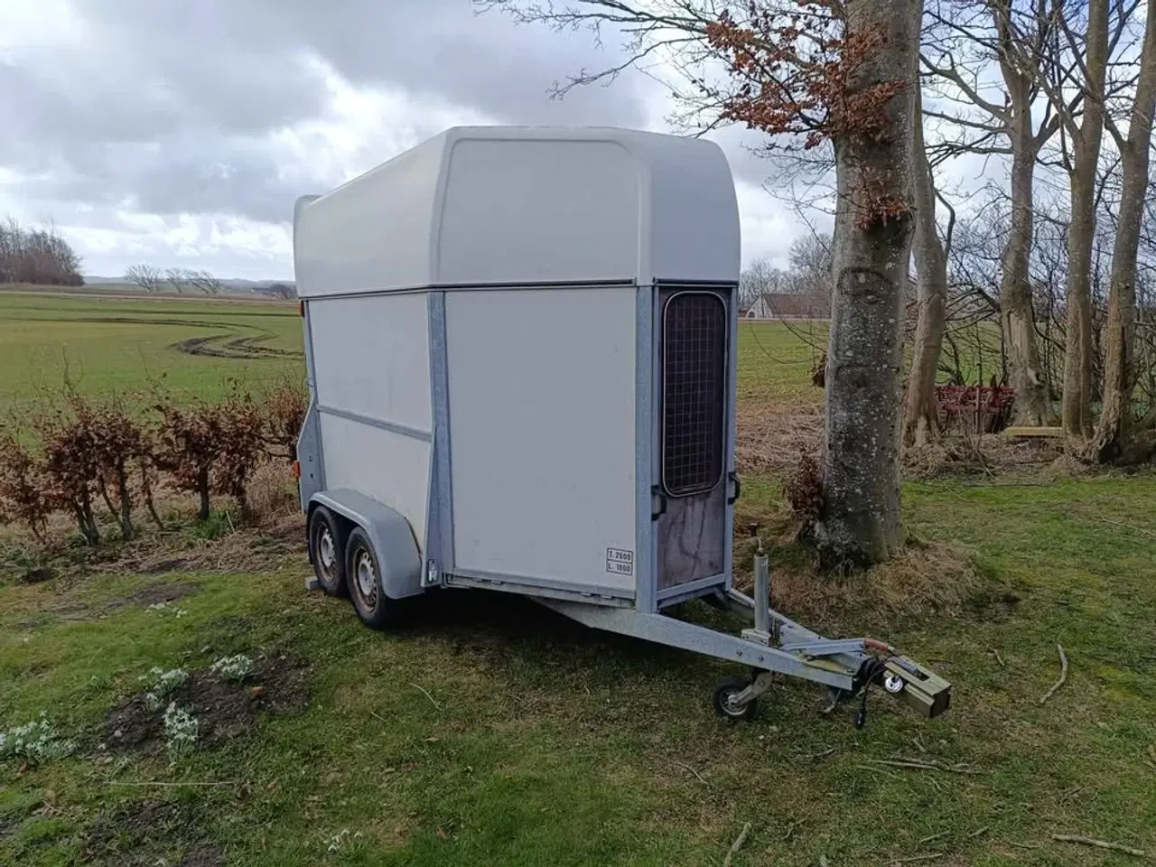 Billede 3 - 2.600 kg hestetrailer - Stærk svensk kvalitet