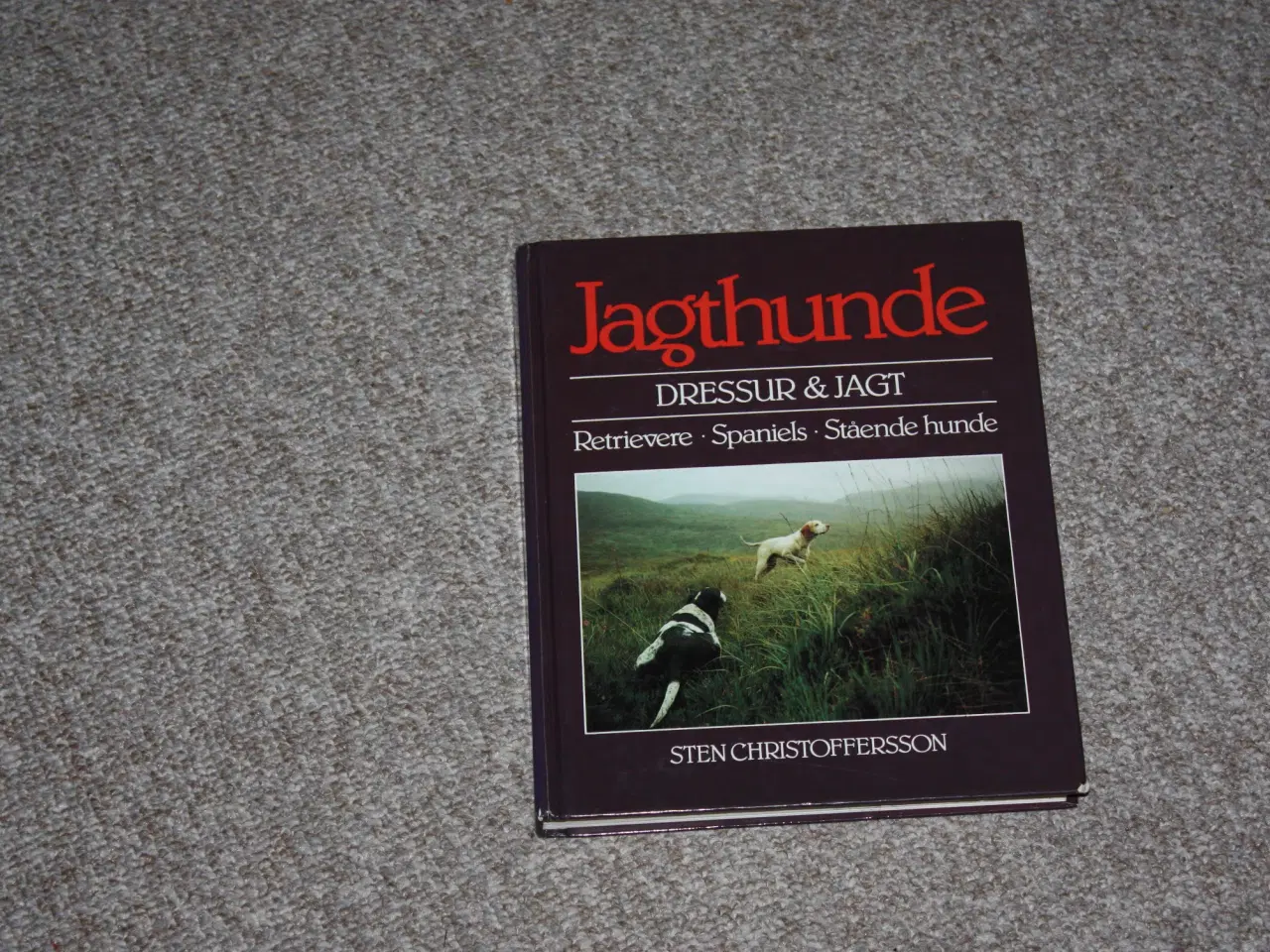 Billede 1 - Jagthunde dressur & jagt af Sten Christoffersson
